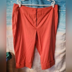 Studio 1940 NWT Size‎ 20W Coral Capri